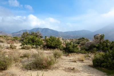 The Desert