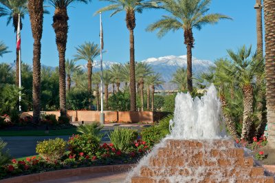 Palm Springs White Christmas