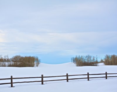 Winter in Alberta