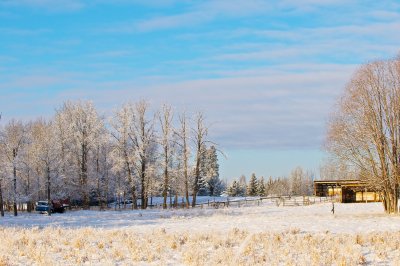 Frosty Day