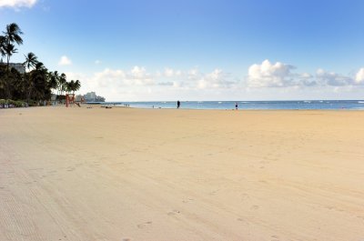 Beach in the Morning