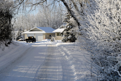 Country Lane