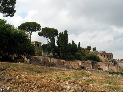 The Forum