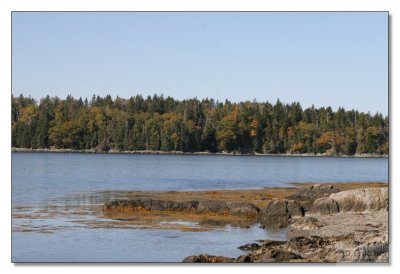 Maine Coast 33.jpg