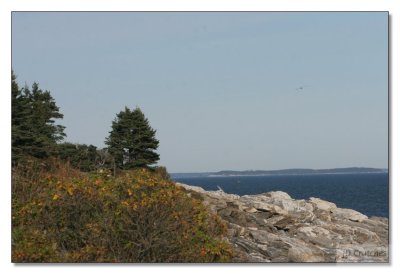 Maine Coast 80.jpg