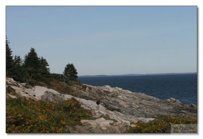 Maine Coast 89.jpg