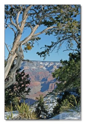 Grand Canyon  100.jpg