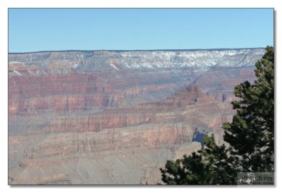 Grand Canyon  103.jpg