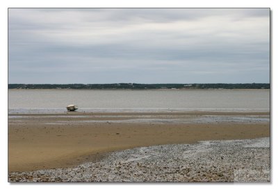 Cape Cod  60.jpg