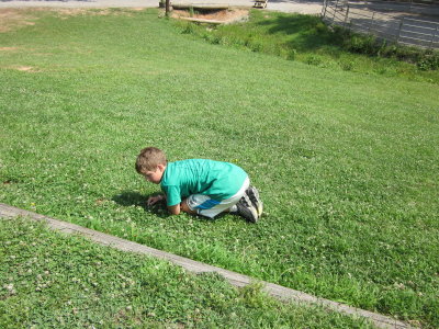 IMG_1753.JPG