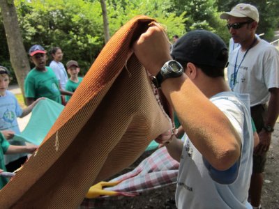 IMG_1780.JPG