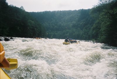 R1-11A.jpg