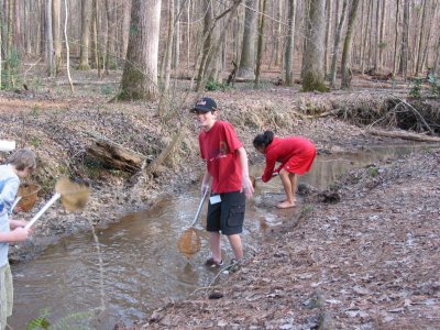 IMG_2378.JPG