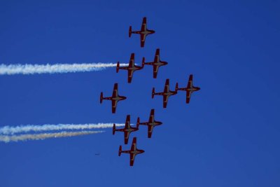 IMG_0955.jpg