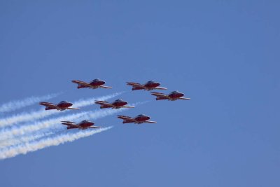 IMG_1389.jpg