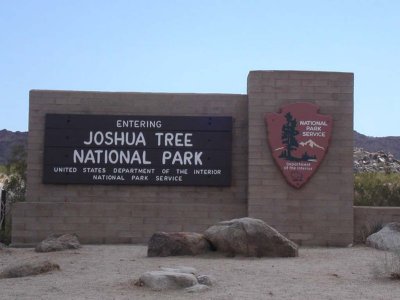 2006 Spring Joshua Tree
