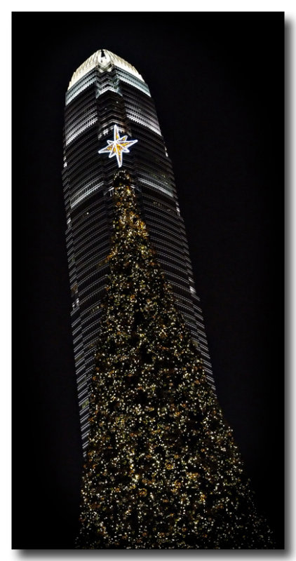 2 ifc & the big tree...