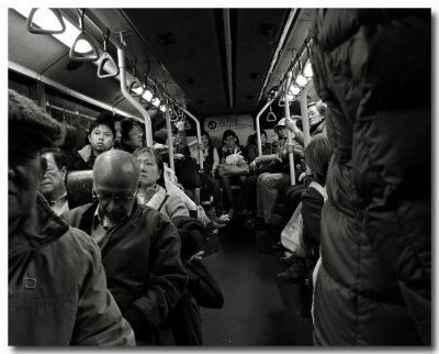 evening bus, hong kong