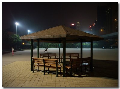 a smoggy night, sun yat sen memorial park, hong kong