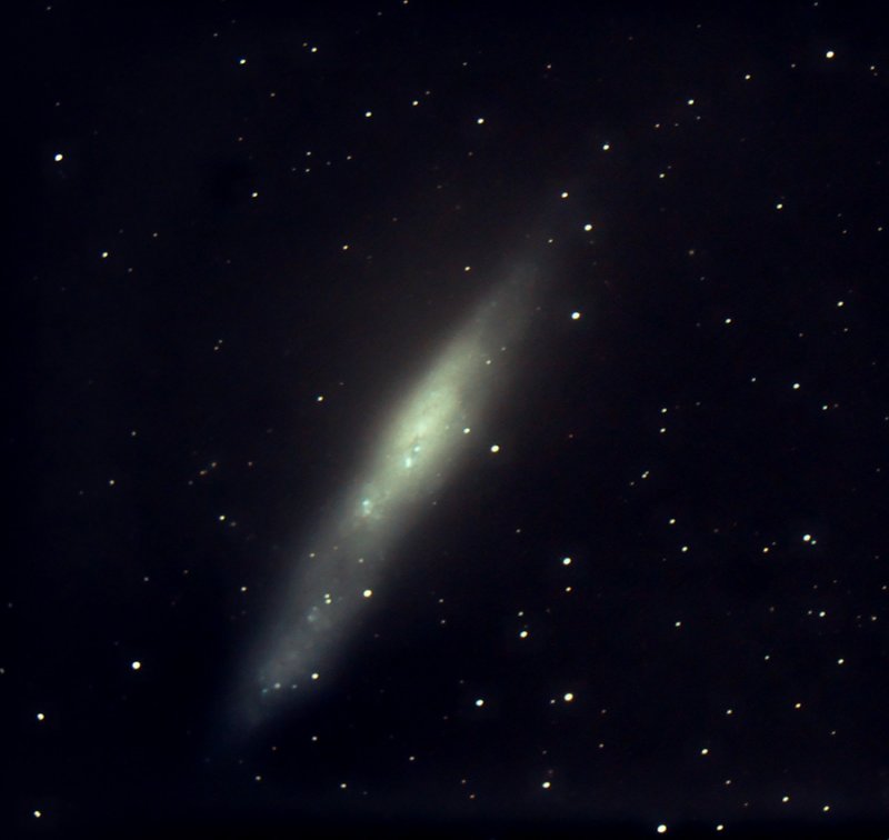 NGC 55 in Sculptor