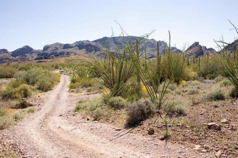 KOFA National Wildlife Refuge