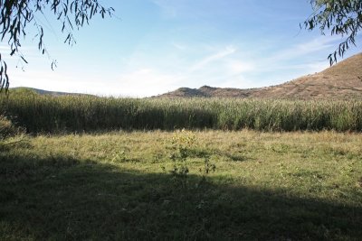 East of the Lake, Flatlands with Reeds