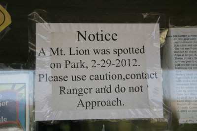Mountain Lion Warning