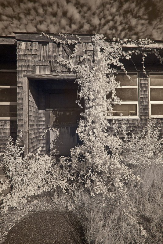 Truro_1030181.jpg