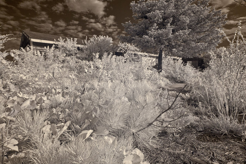 Truro_1030247.jpg