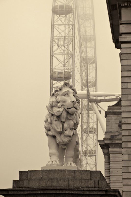_1070350.jpg
