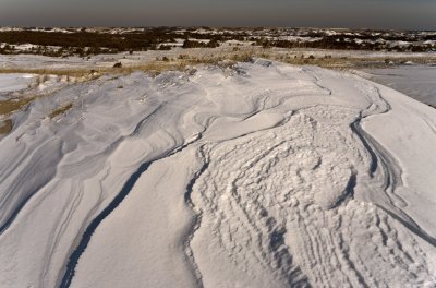 P-town dunes-8403.jpg