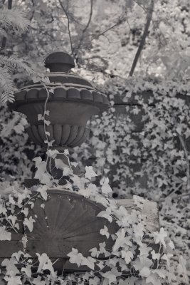 _1060617.jpg
