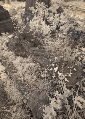_1060725.jpg
