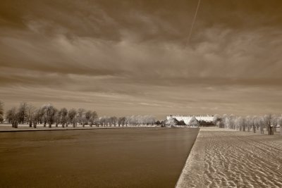 _1060849.jpg