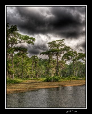 _DSC3524_5_6_tonemapped.jpg