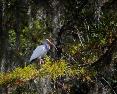 _DSC4550-Edit.jpg