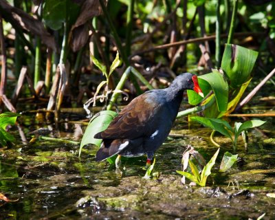 _DSC4573-Edit.jpg