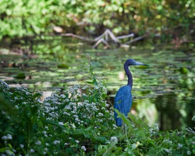 _DSC4576-Edit.jpg