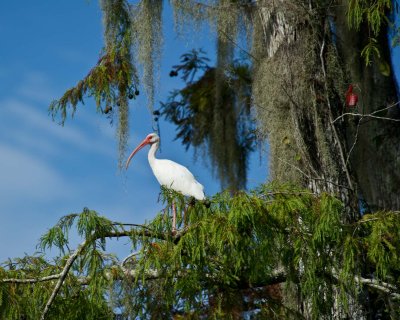 _DSC4686.jpg