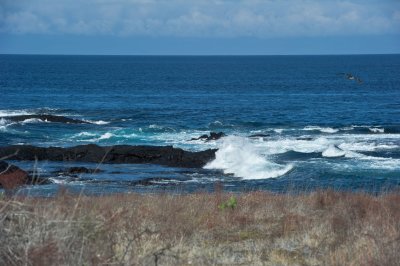 _DSC6091.jpg