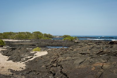 _DSC7433.jpg