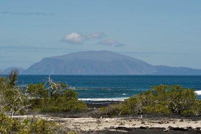 _DSC7586.jpg