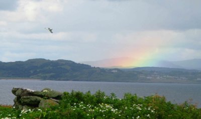 Rainbow 2.jpg