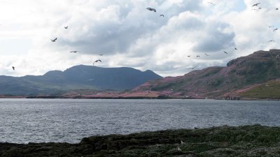 Slieve League from Inishduff.jpg
