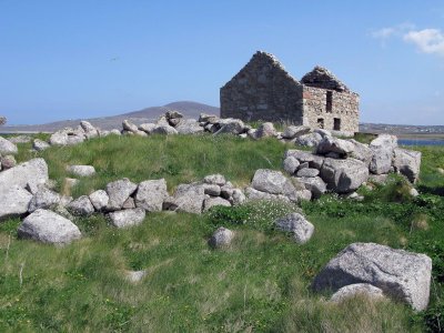 Field and house.jpg