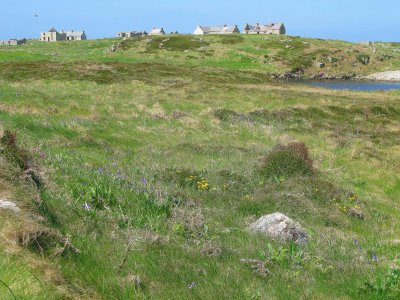 Houses on hill.jpg