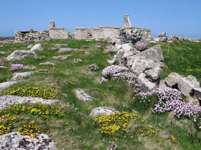 May  flowers.jpg