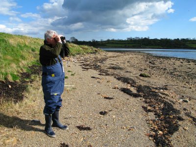 Jackdaw Island watching canada geese.jpg