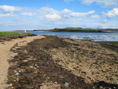 Jackdaw island.jpg