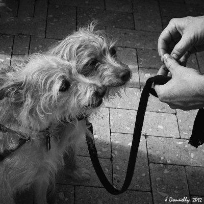 Time for Treats!
